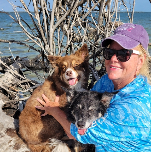 LIVE Thursday 8am est Rolling Into The Holidays Share Show - Picture 4 of 8